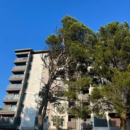 Luxury Center Apartment